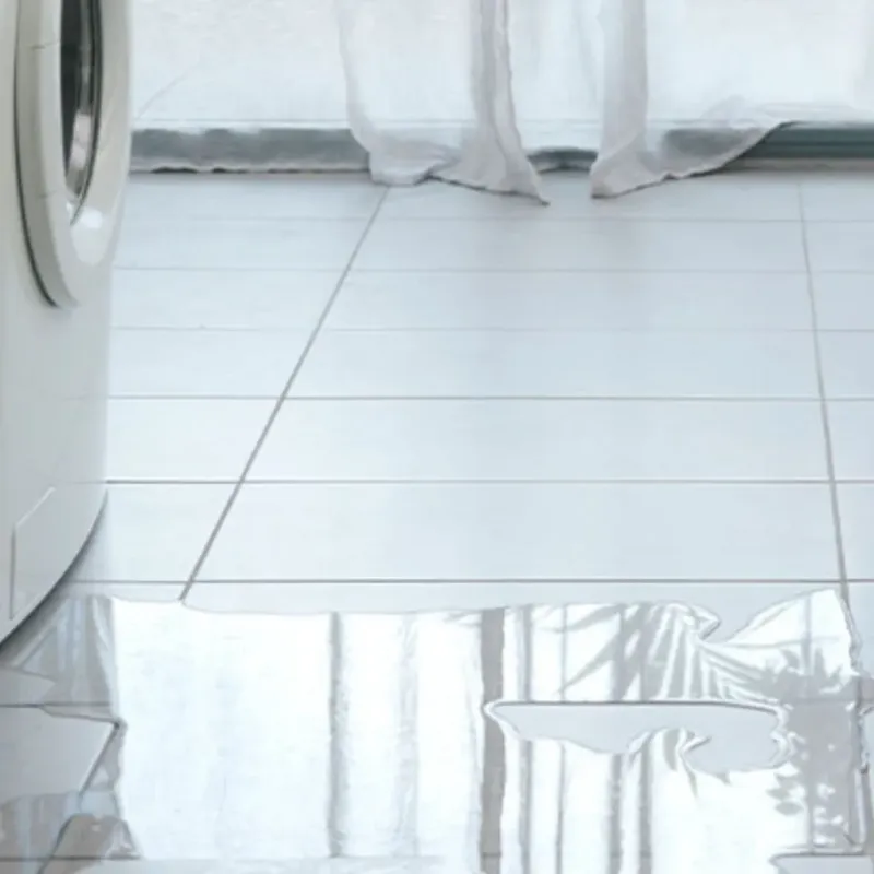 Appliance Leak Cleanup in Portland, IN