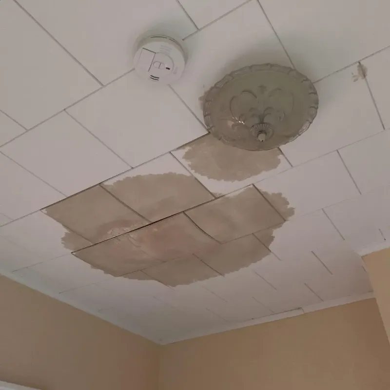 Ceiling Water Damage Repair in Portland, IN