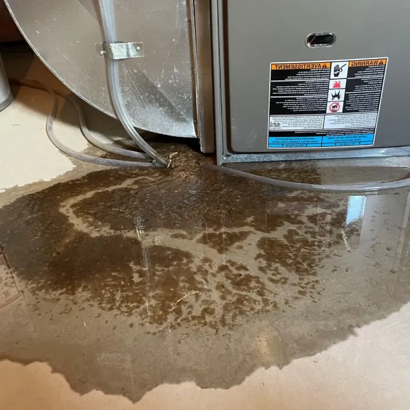 Pipe Burst and Leak Restoration in Portland, IN