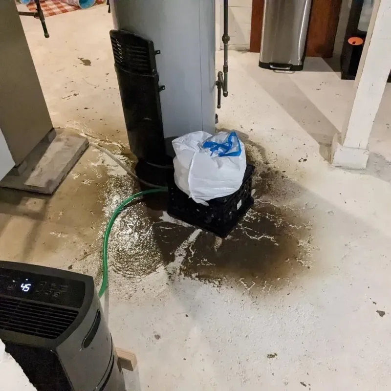 Sewage Backup Cleanup Service in Portland, IN